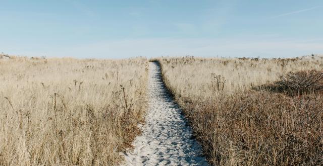 Photo by Alice Donovan Rouse from Unsplash